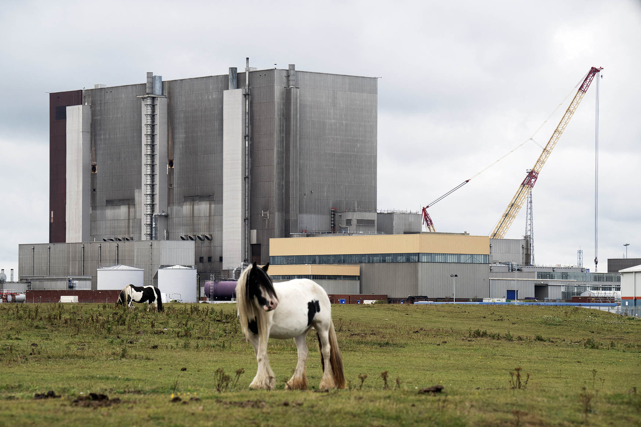 UK to build 12 nuclear plants in £10bn plan