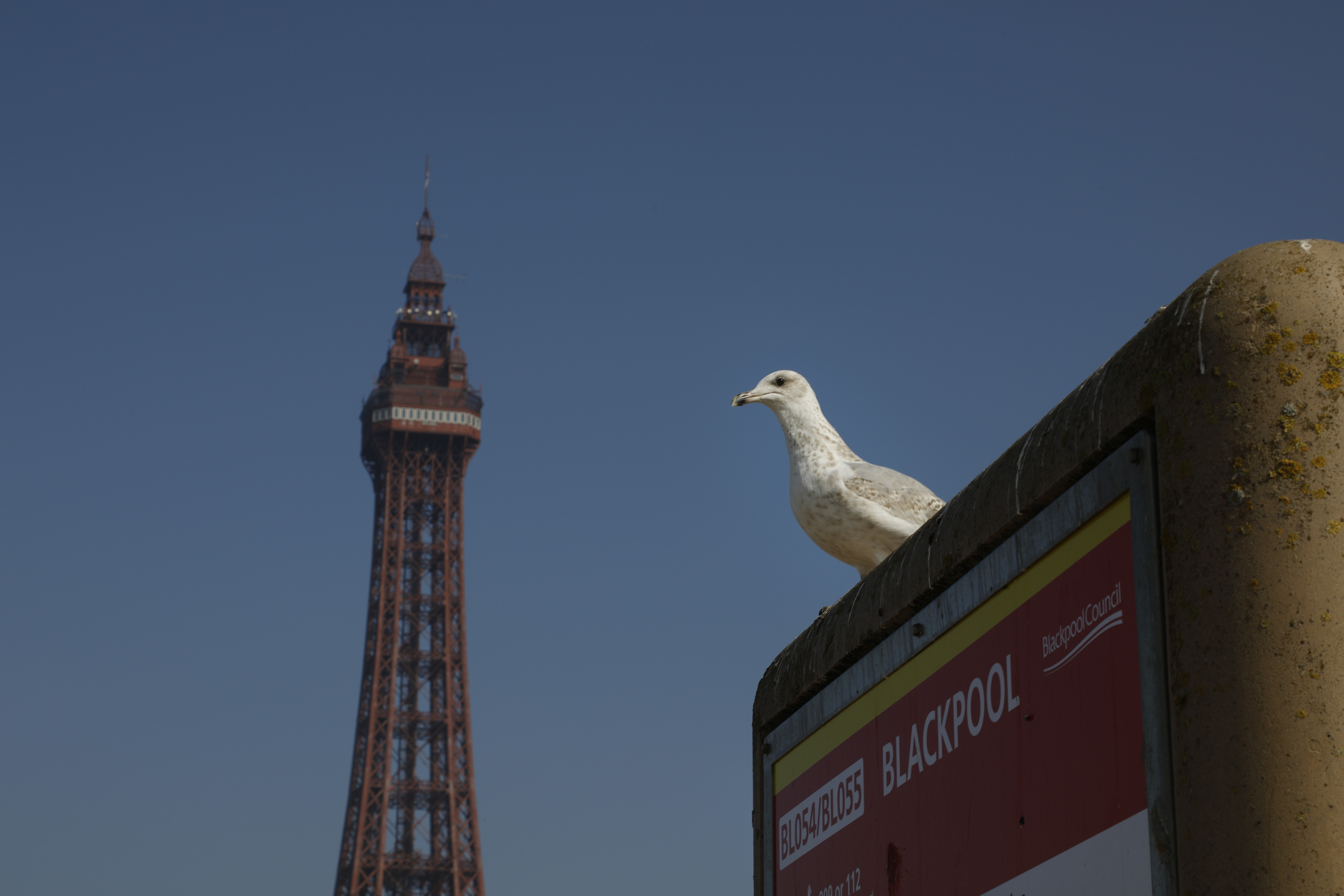The Blackpool man who found a pot of crypto gold