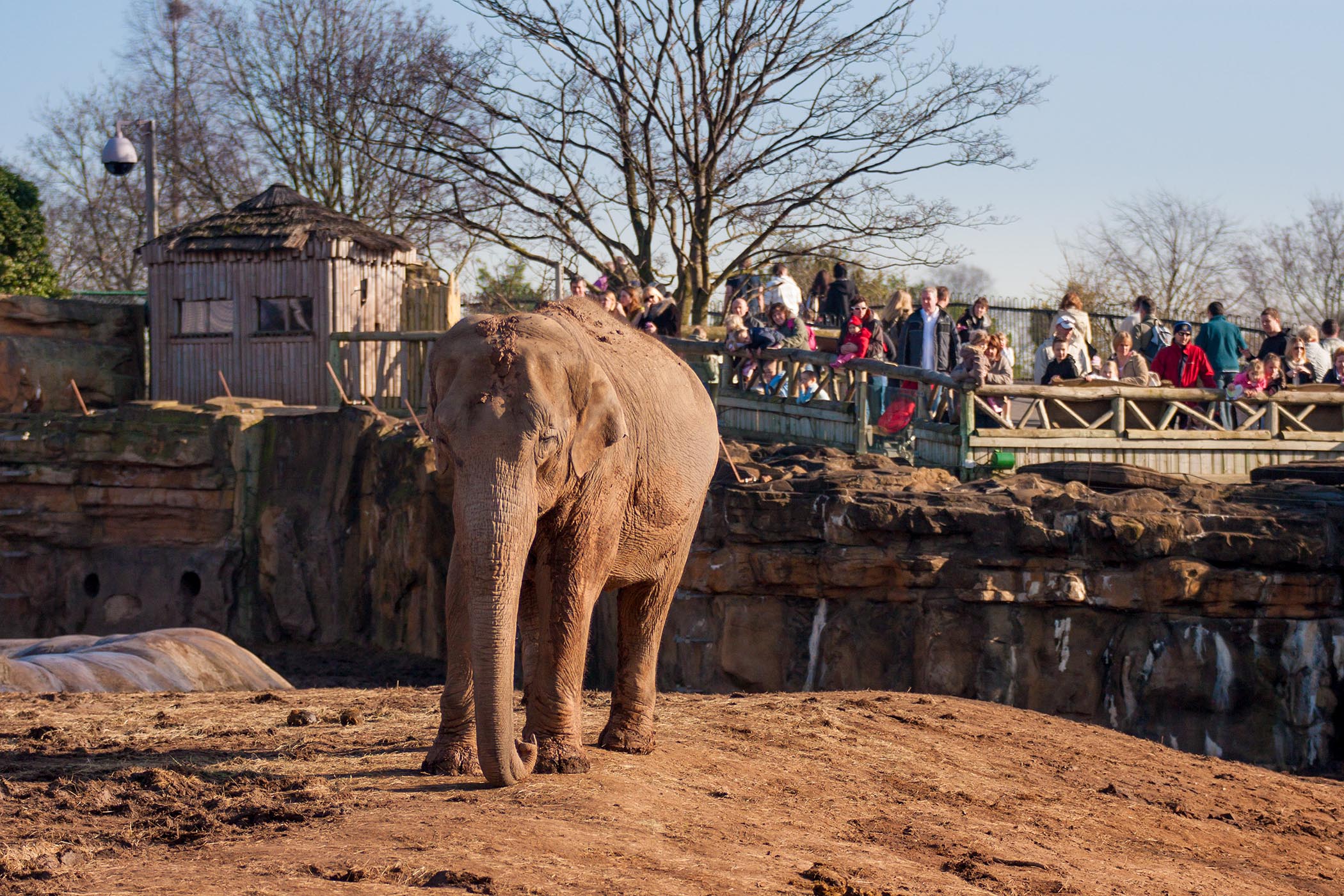 The more zoos teach us, the harder it is to ignore the cages