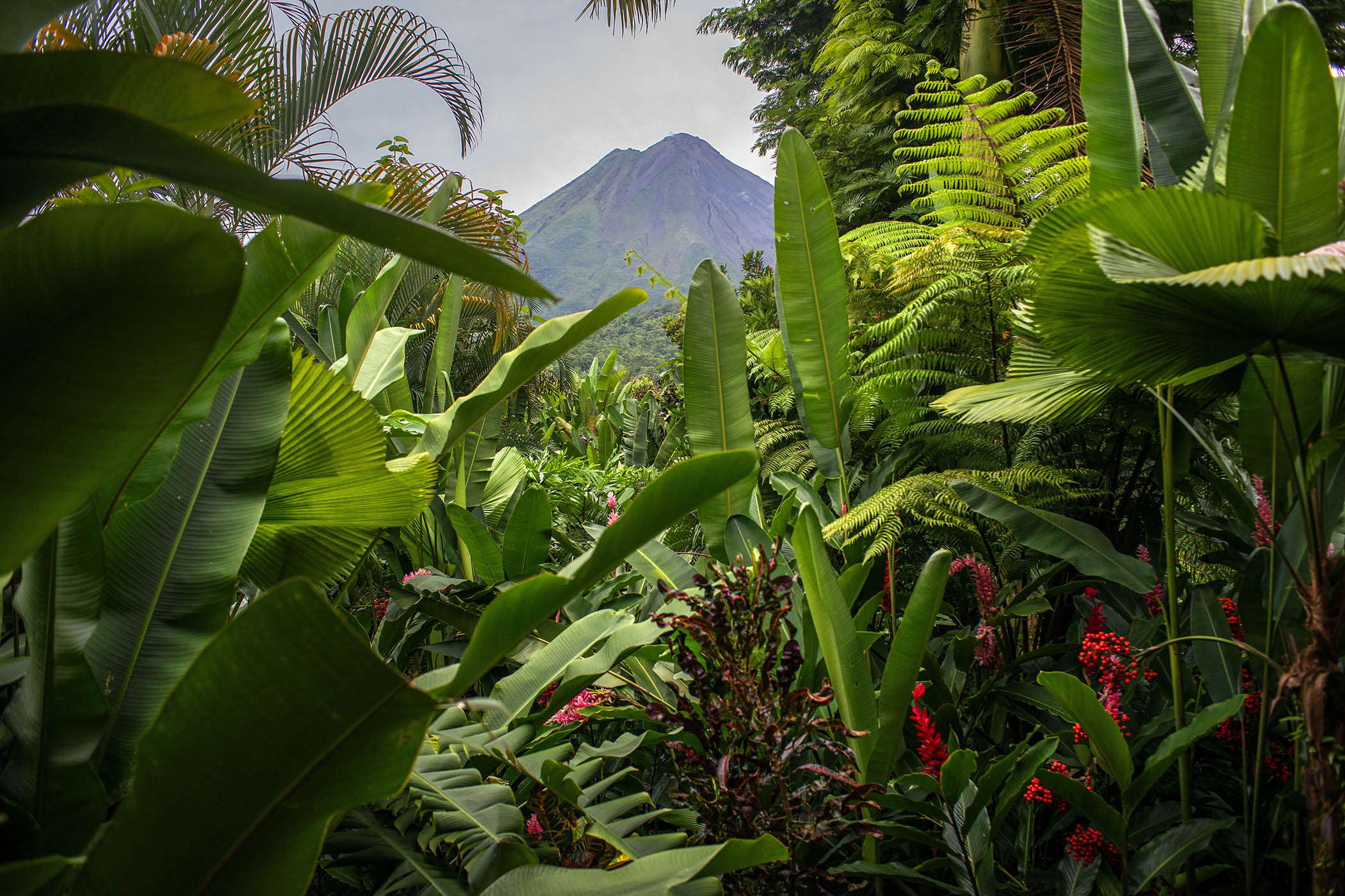 Costa Rica’s green halo starts to slip