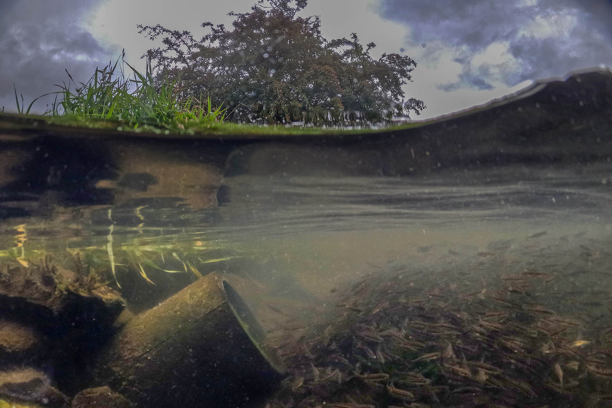 Windermere hit by 50bn-litre deluge from sewage plants