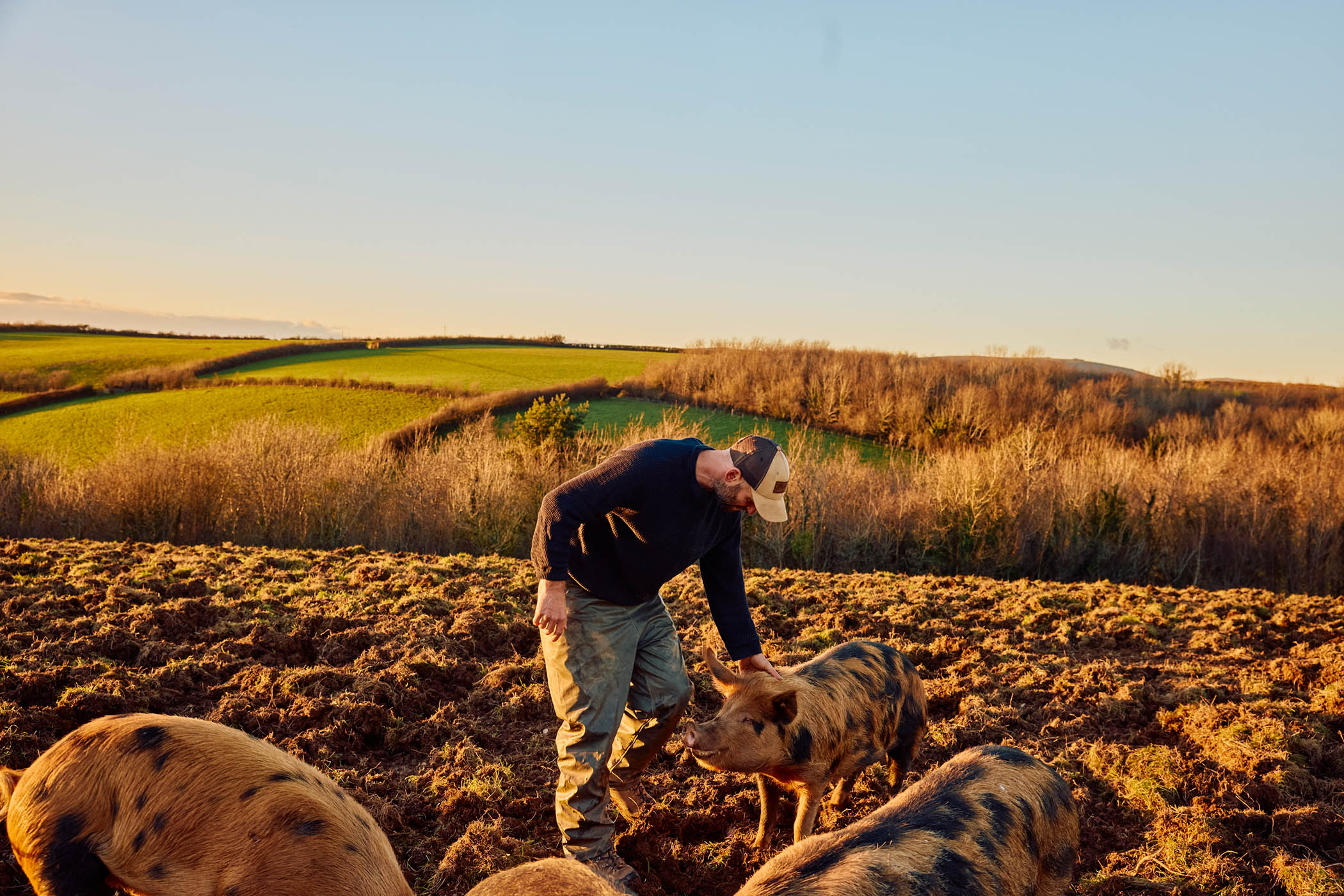 Could a rural retreat in Devon win over this urbanite?