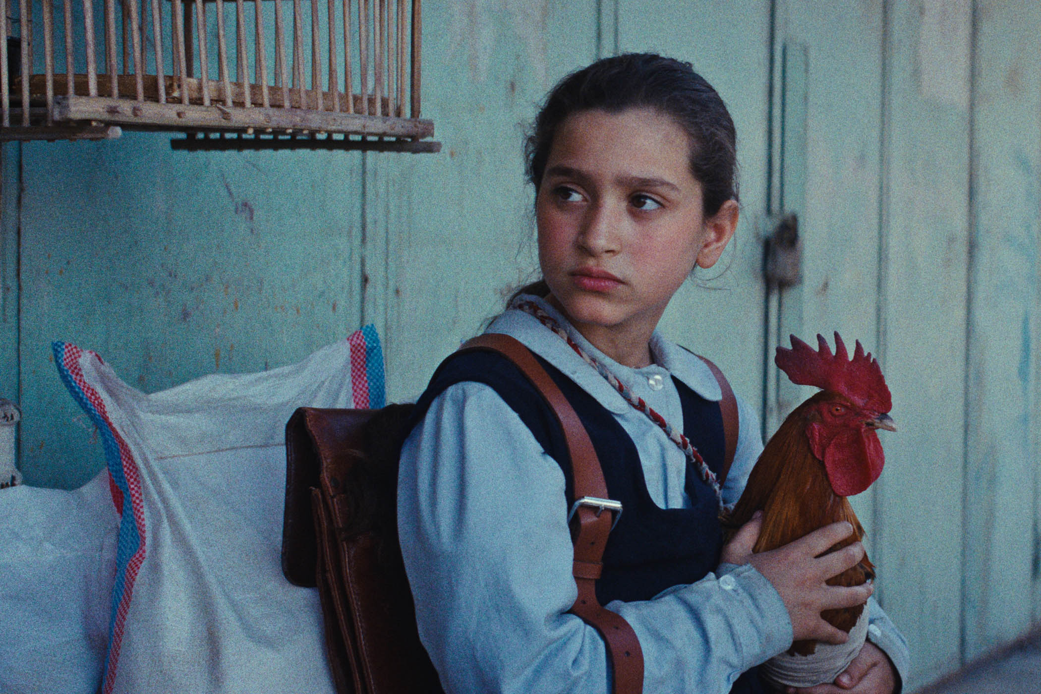 Wendy Ide’s pick of other films: The President’s Cake﻿, Crime 101, Looney Tunes and more