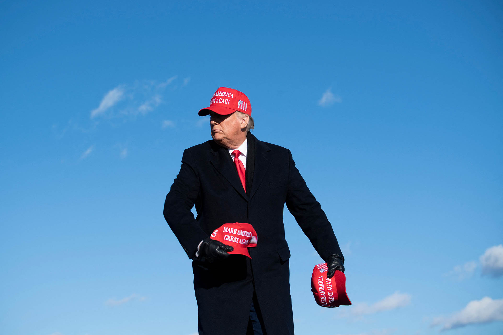 Anatomy of the Maga right
