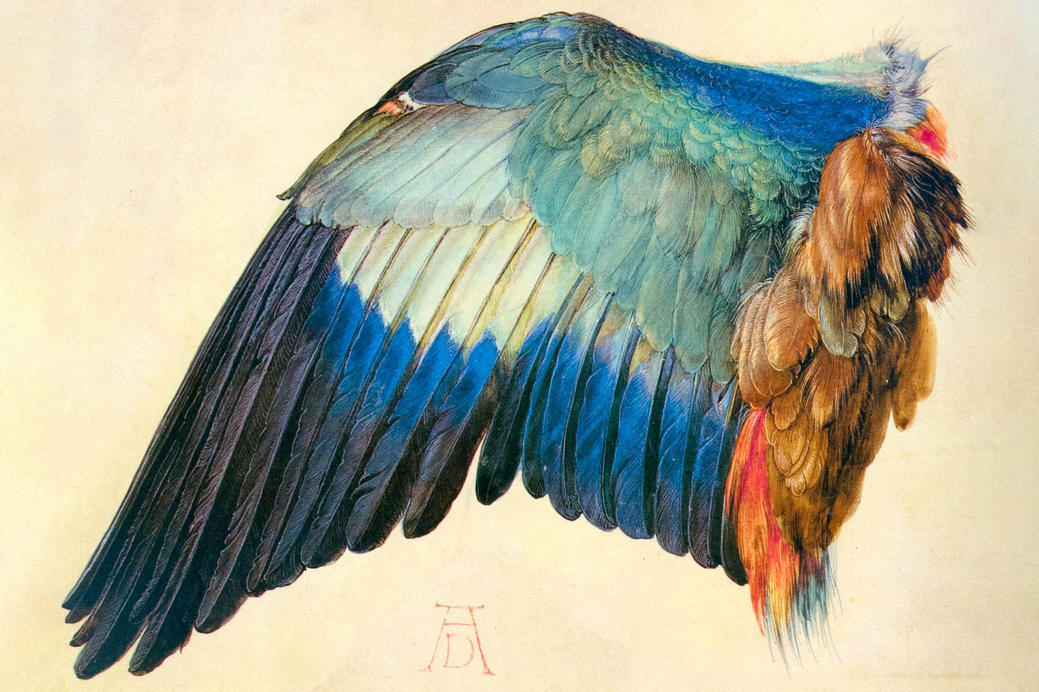 How to draw a bird