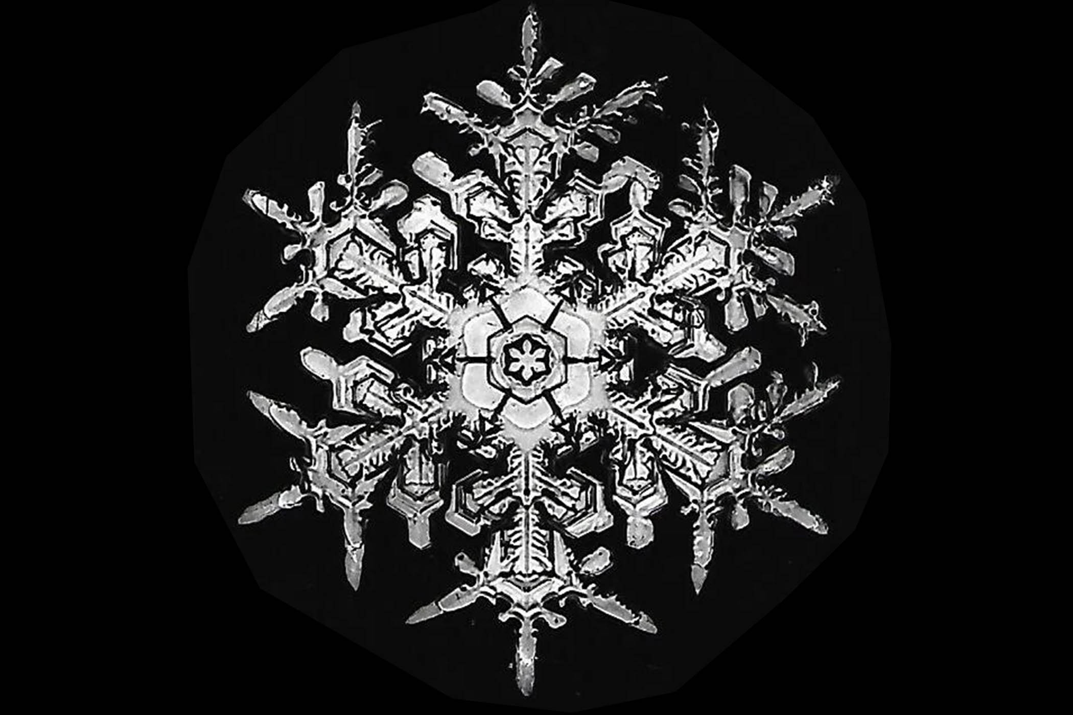 The grid: Wilson Bentley’s snowflakes