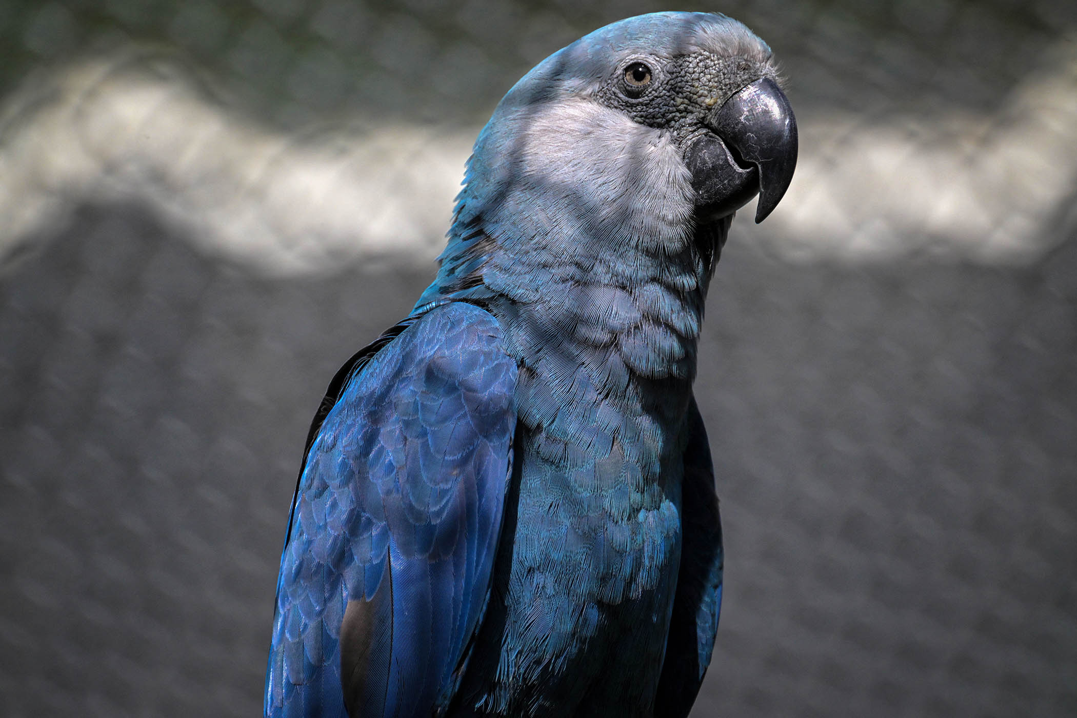 A private zoo run by Asia’s richest family has alarmed conservationists